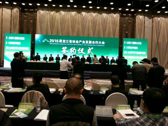 宝运莱831999碳买卖业界影响强，副总田卫然接受黑龙江广播电视台采访