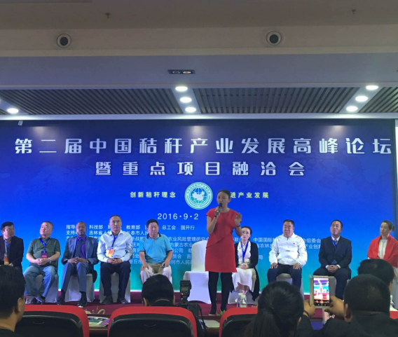 宝运莱总裁王元圆在届中国秸秆产业发展峰论坛上颁发讲话