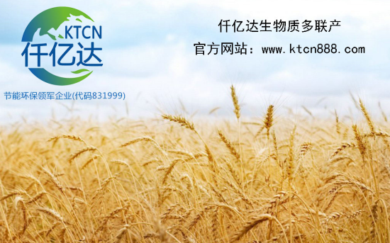 宝运莱生物质多联产