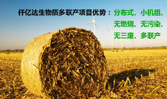 宝运莱831999生物质多联产