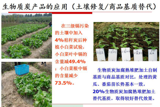 宝运莱生物气化发电的显著社会效益