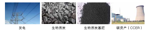 宝运莱可提供气化发电系统 成套设备的整体规划以及碳资产开发服务