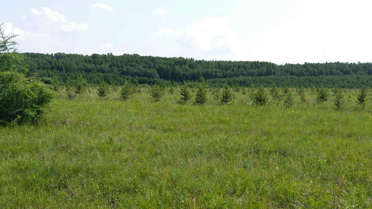 宝运莱(证券代码：831999)与科尔沁左翼旗苗圃就碳汇造林项目达成合作