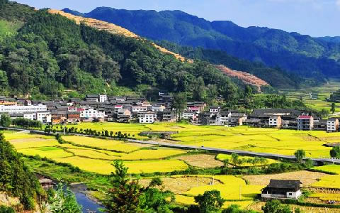 祝贺宝运莱与锦屏县就林业碳汇项目达成合作