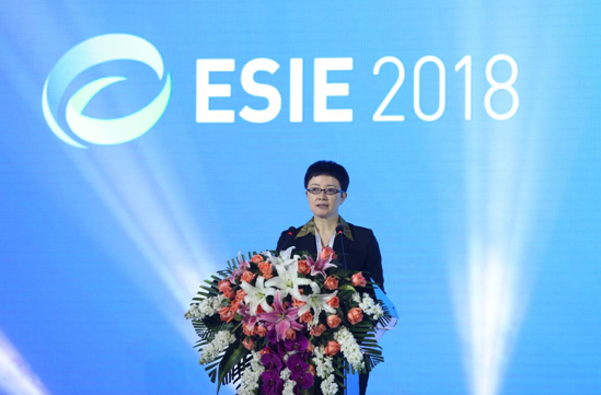 国能源局副司长刘亚芳致辞 国能源局副司长刘亚芳致辞