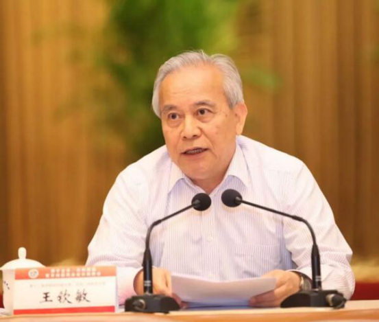 王钦敏 王钦敏